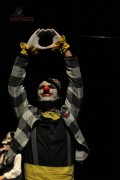 Hamlet the Clown Princes