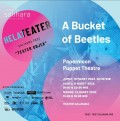 A Bucket of Beetles