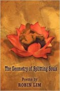 The Geometry of Splitting Souls